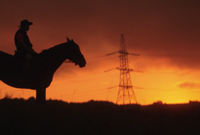Stepney Western: A film project spotlighting the power of horses and alternative education in the city