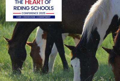 Elevating equine wellbeing at the heart of riding schools