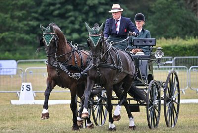 British Carriagedriving announces squad for FEI World Championship for Horse Pairs