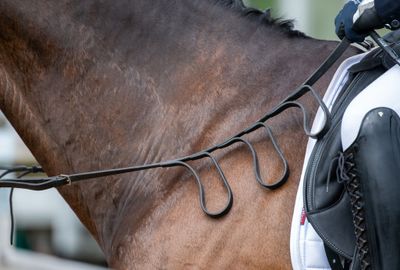 British Equestrian announces squad of four for FEI Para Dressage European Championship 2025