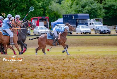 Vikings Polocrosse: Opening the doors to an exciting sport