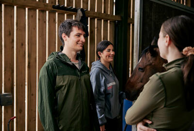 Safeguarding video and stories